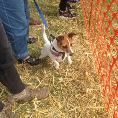 A spectator wishes he was racing