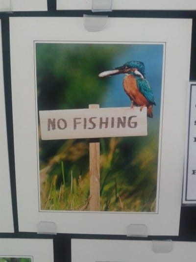 An eclectic mix of subjects - this one caught the RN photographers eye