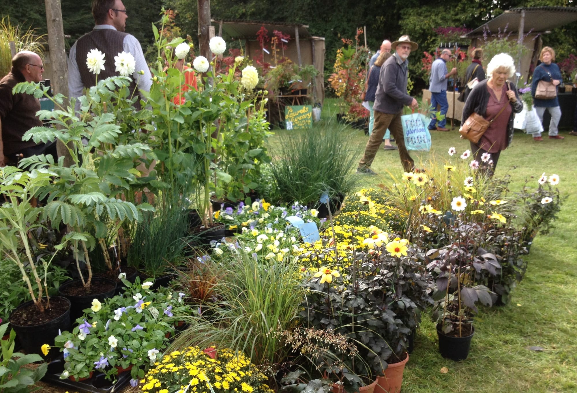 Nurserymen and women came from all over the world