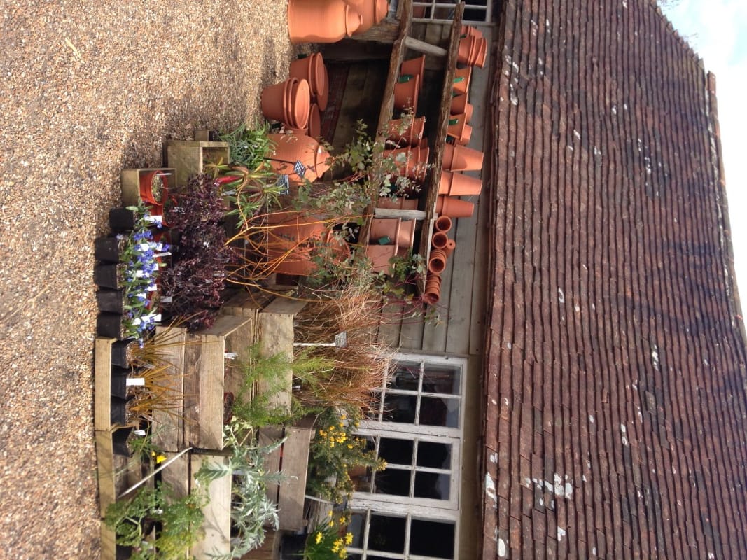 Great Dixter 3