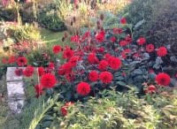 Great Dixter in October