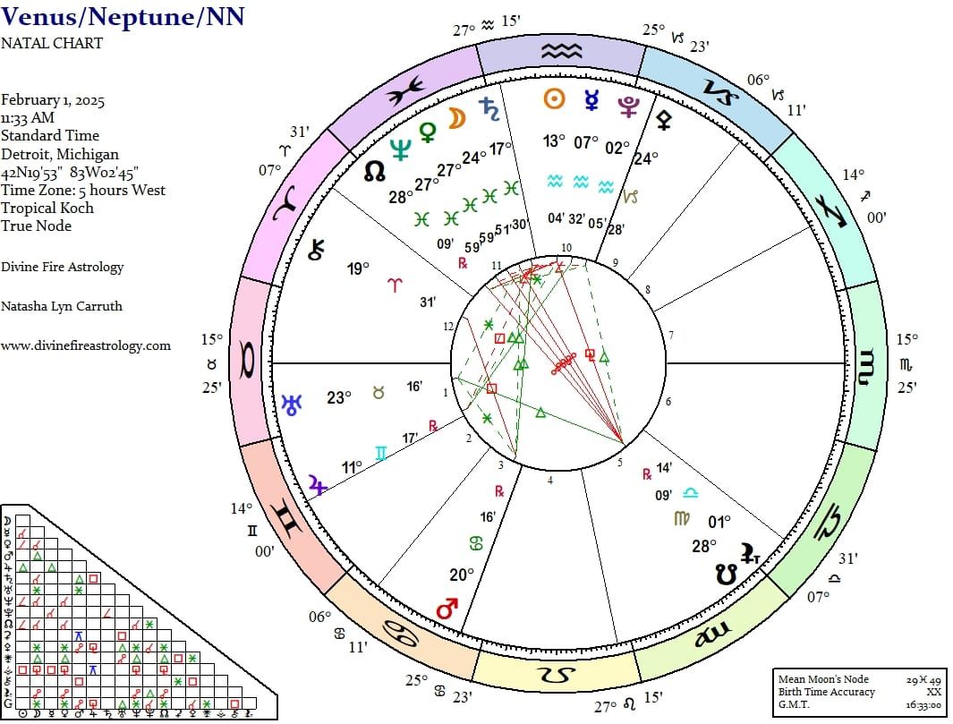 Venus Conjunct Neptune on the North Node for the Divine Desire Relationship Tier