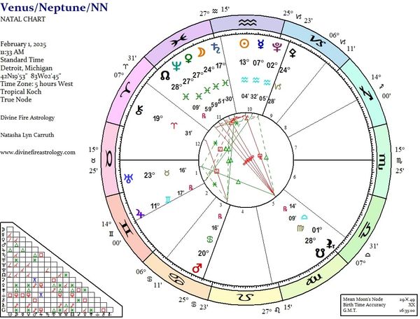 Venus Conjunct Neptune on the North Node for the Divine Desire Relationship Tier