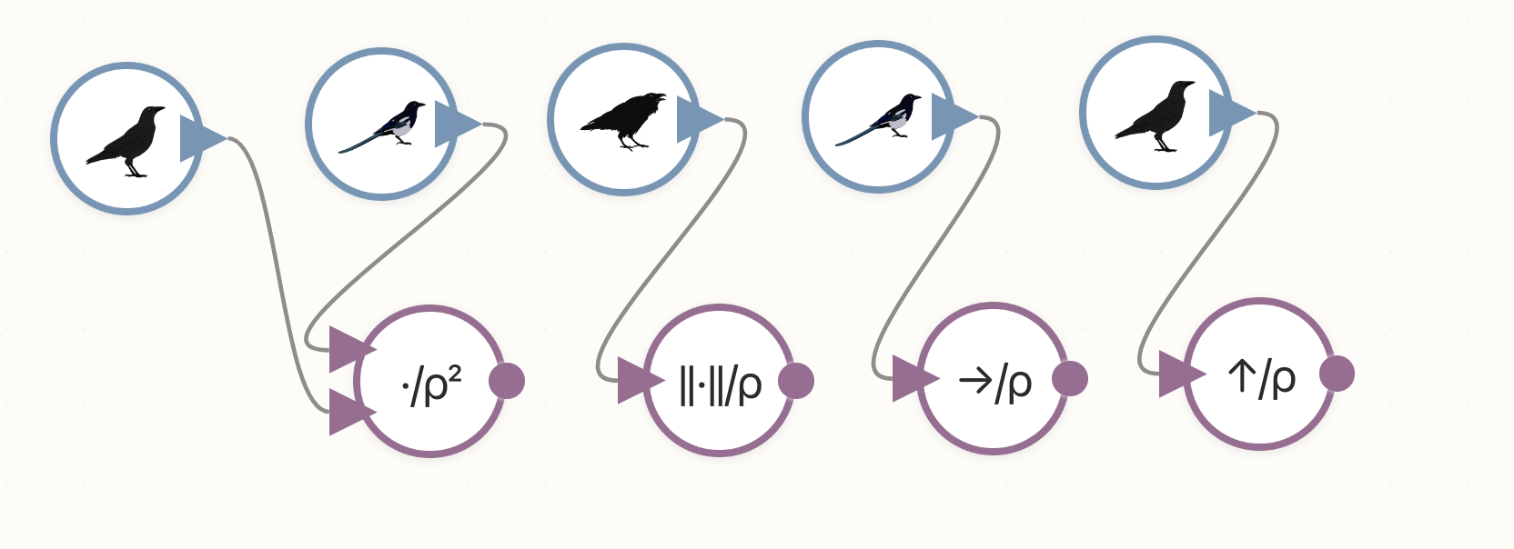Vectors represented as birds connecting to scalars