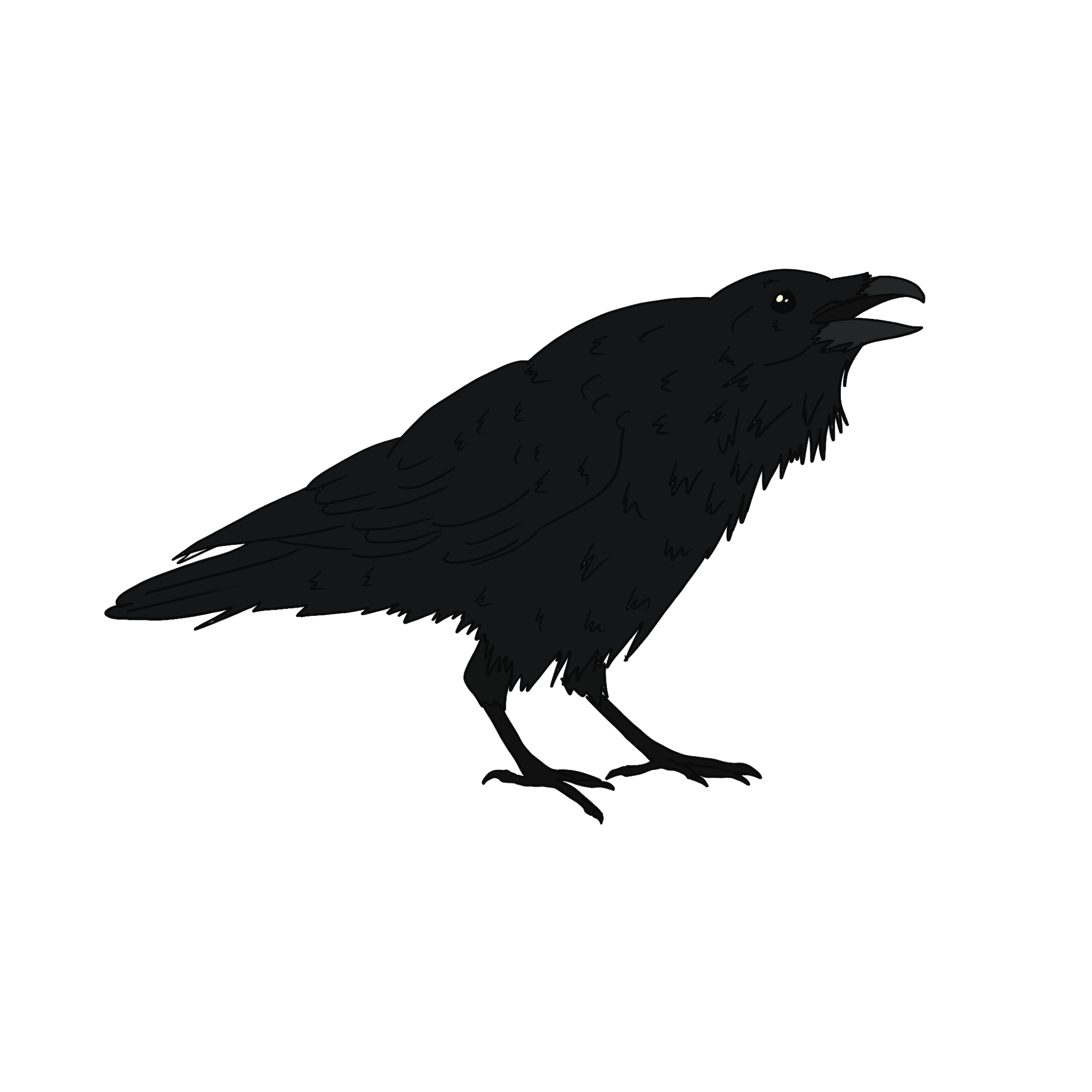 A sketch of a raven with beak open and facing right