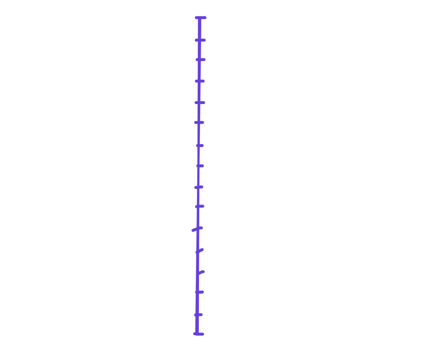 a purple vertical line with 16 marks along it