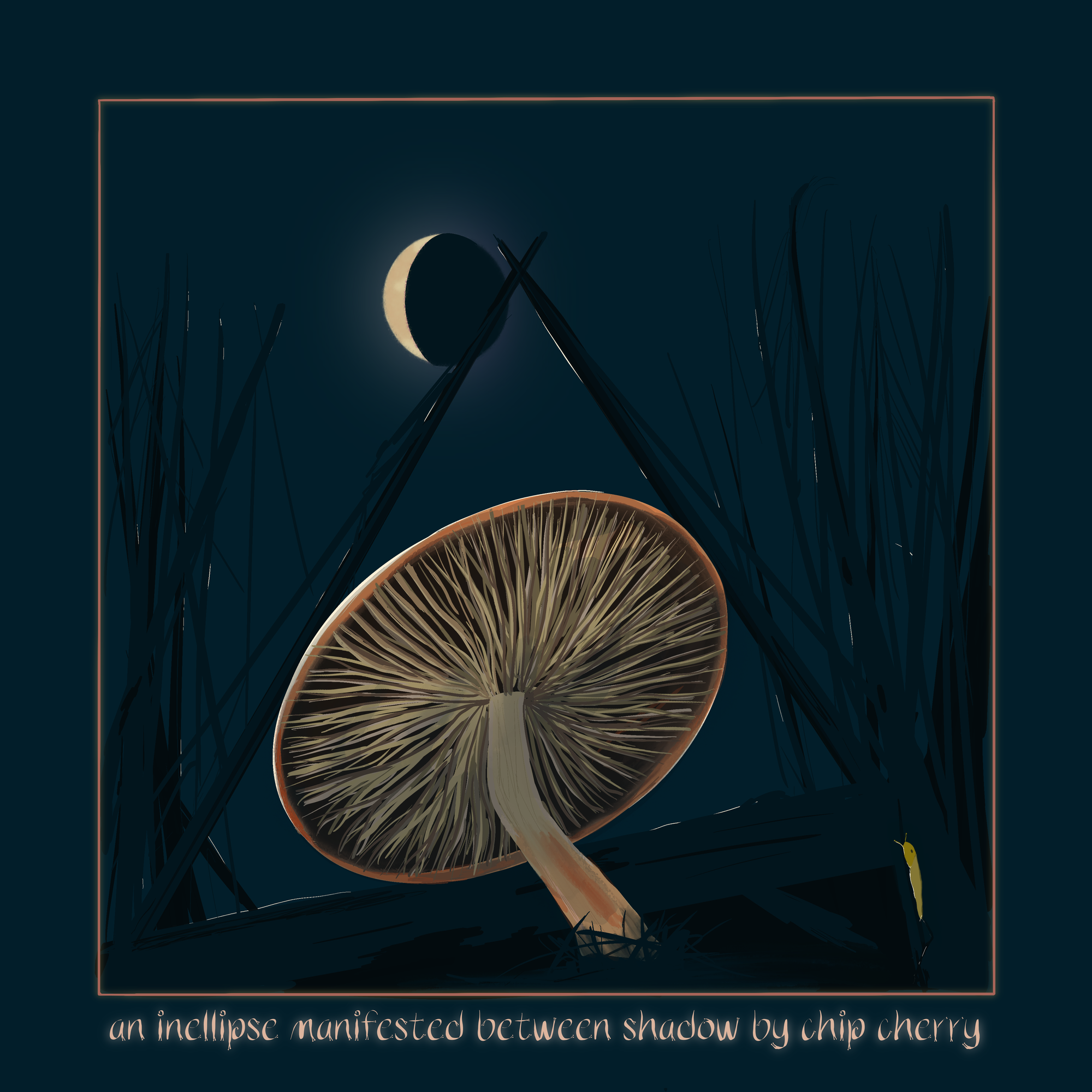 a crescent-waning moon sits in a burn forest silhouette with a triangle shadow of leaning trees at the main center. Within the triangle the underneath of a chip cherry mushroom makes an ellipse just touching the triangle edges creating an inellipse. there are highlights where moisture catches the moonlight. A small banana slug moves in the shadows up a tree