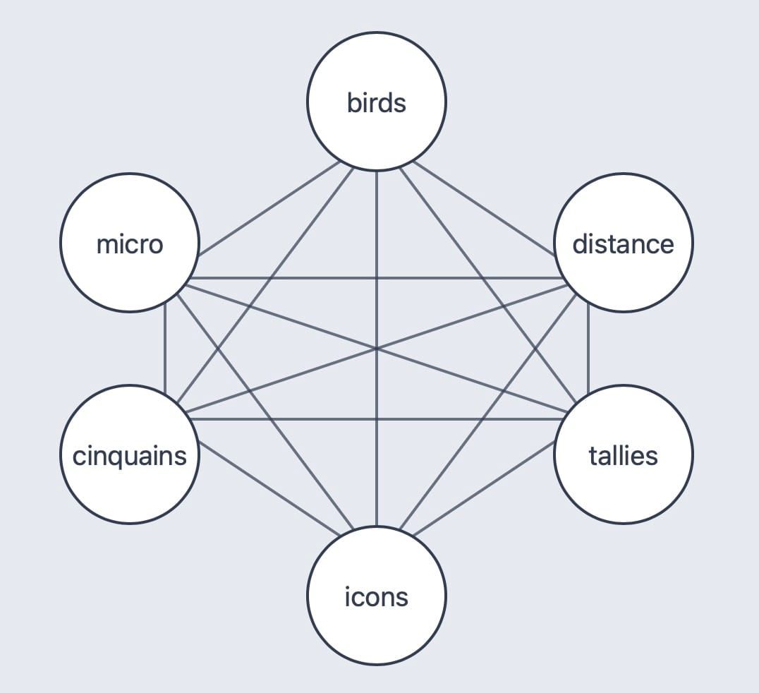 circles with words of birds, distance, tallies, icons, cinquains, and micro at vertices of a hexagon - lines between vertices