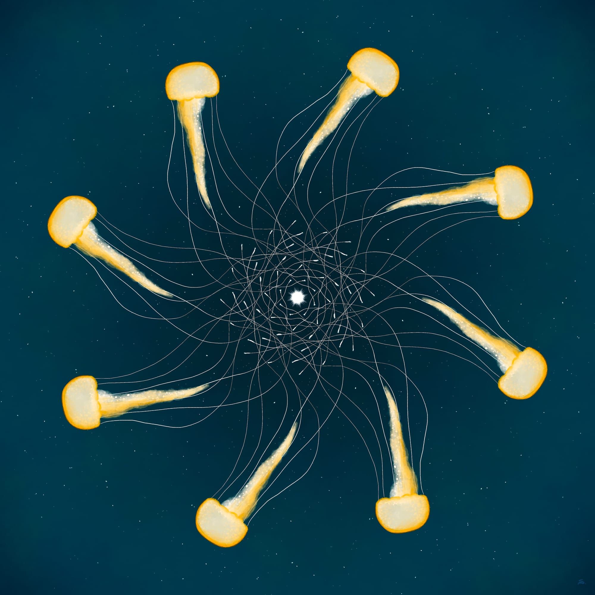 a mandala of jellyfish with overlapping tentacles 