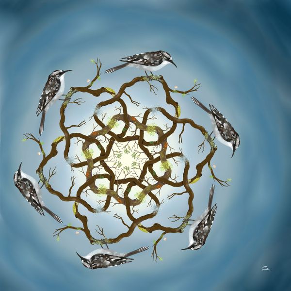 A radial symmetric sketch 6 with oak branch rings held together with a single link. A brown creeper, moss, and lichen are on the rings.
