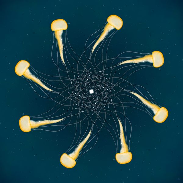 a mandala of jellyfish with overlapping tentacles 