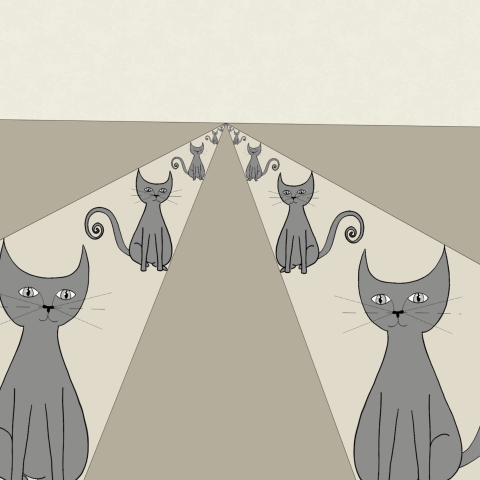 Reflection Perspective GIF
