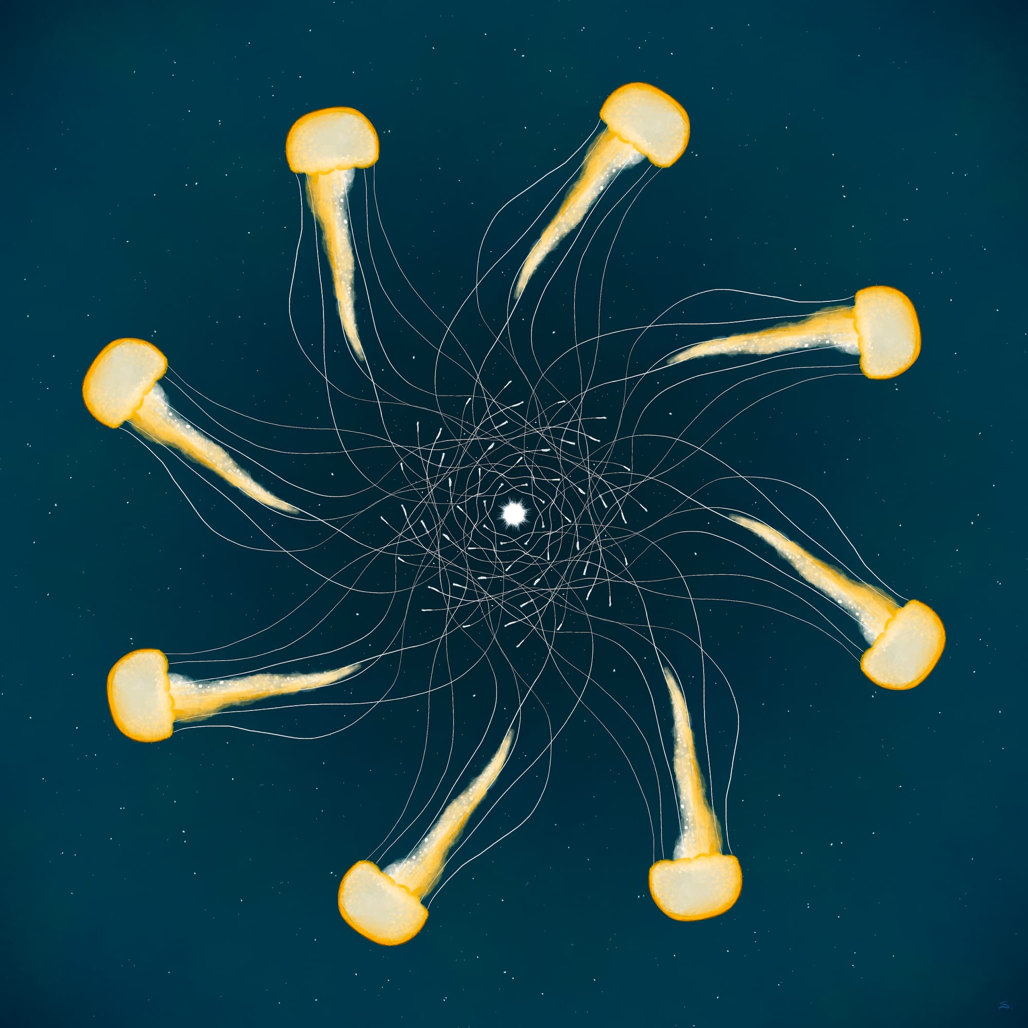 Eight jellyfish in a spiral with tentacles spiraling to center with starry-like ocean background. Jellyfish are yellow almost glowing." title="Eight jellyfish in a spiral with tentacles spiraling to center with starry-like ocean background. Jellyfish are yellow almost glowing.