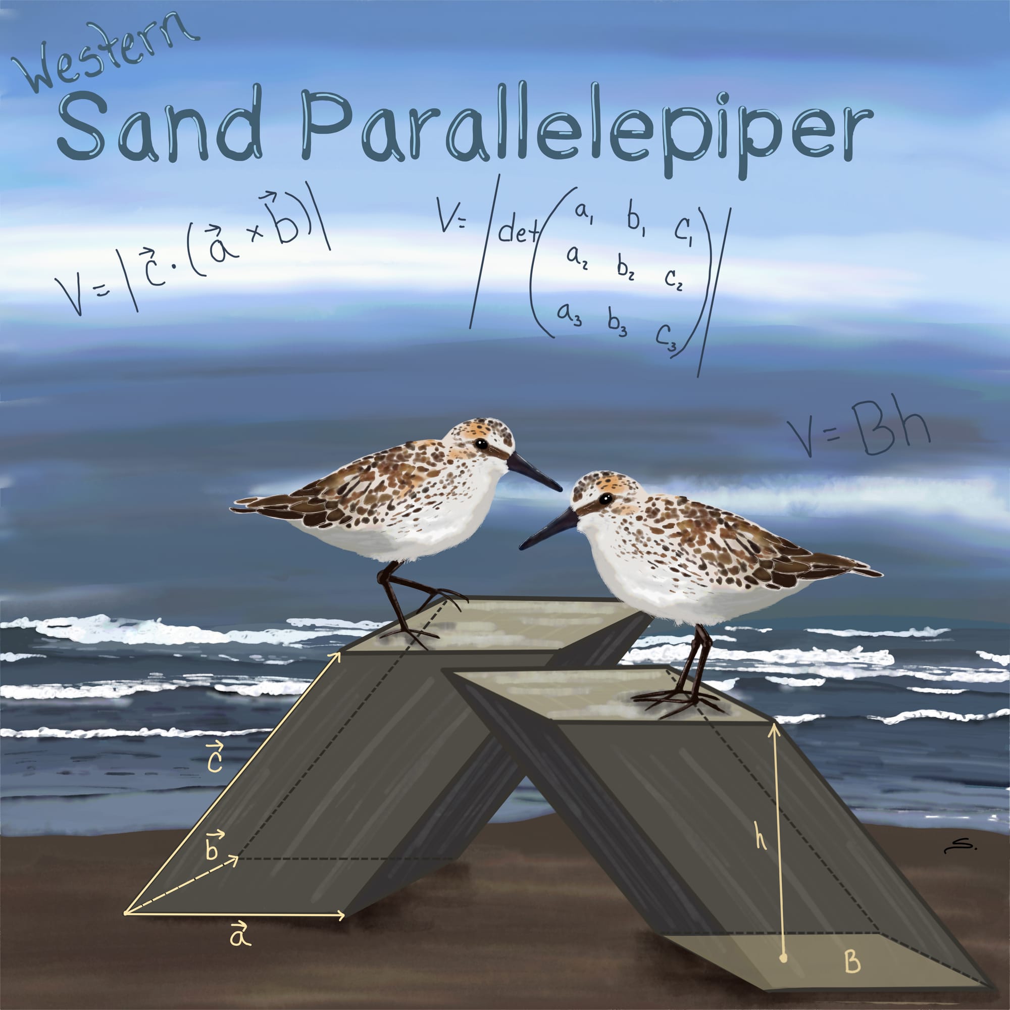 Western Sand Parallelepiper