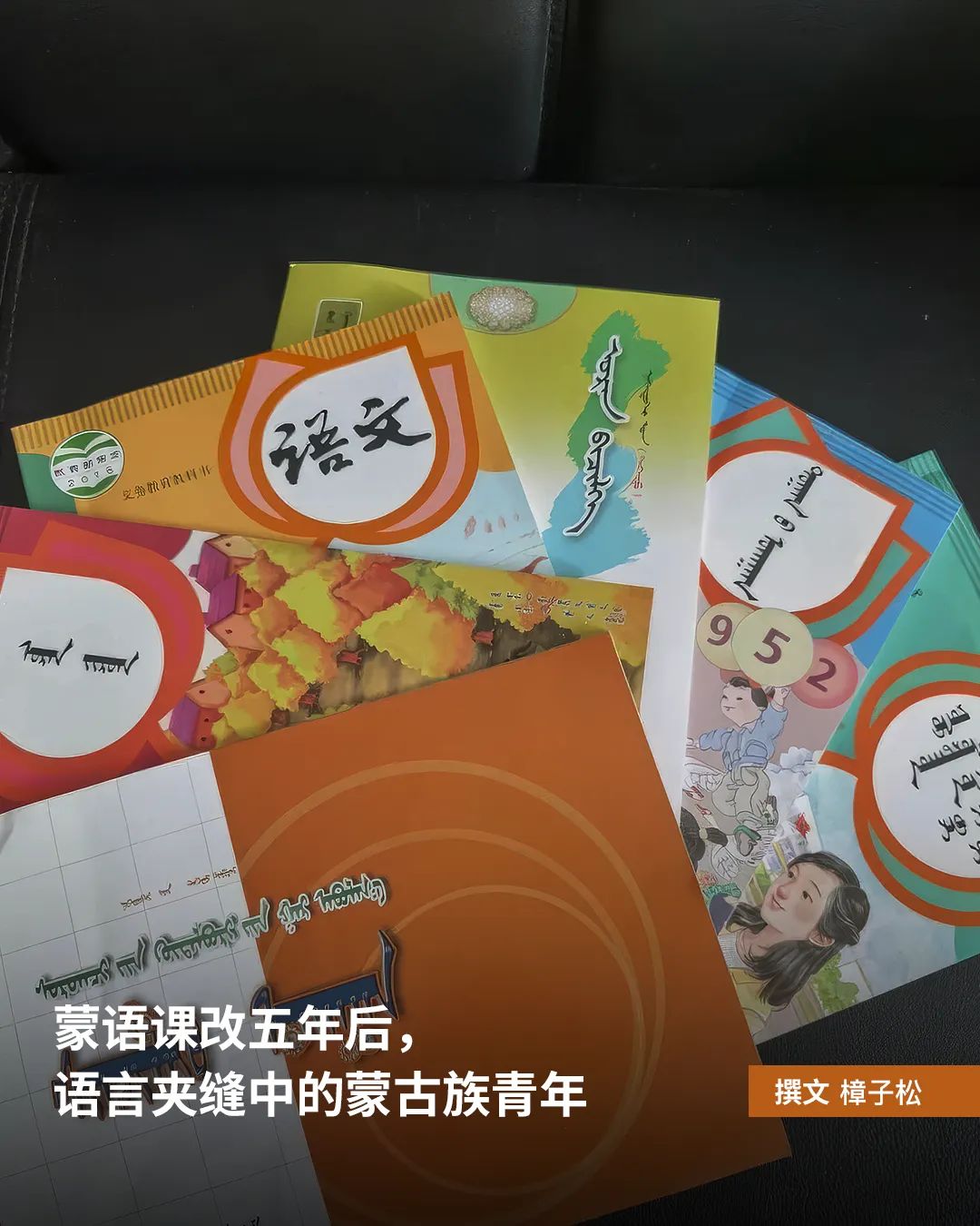 蒙语课改五年后，语言夹缝中的蒙古族青年