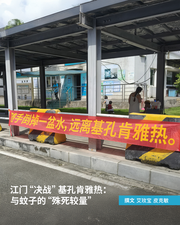 江门“决战”基孔肯雅热：与蚊子的“殊死较量”