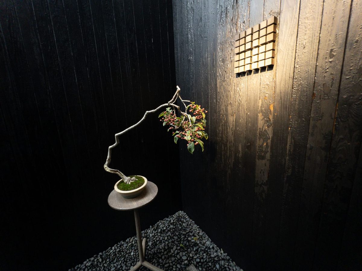 Revue des Café de Tokyo 2024