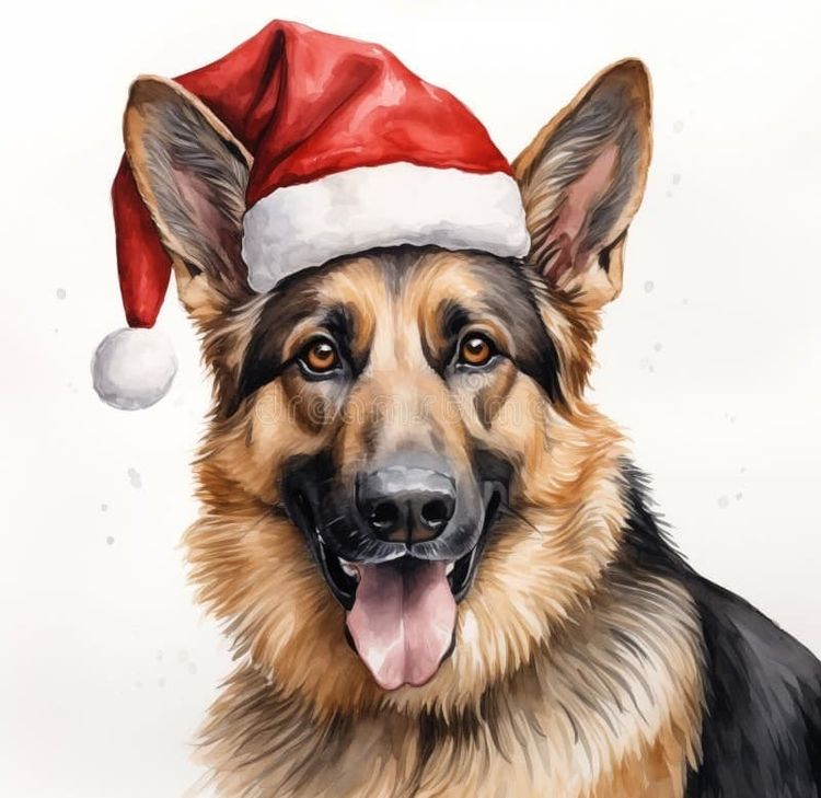 Merry Christmas and Happy New Year ❤