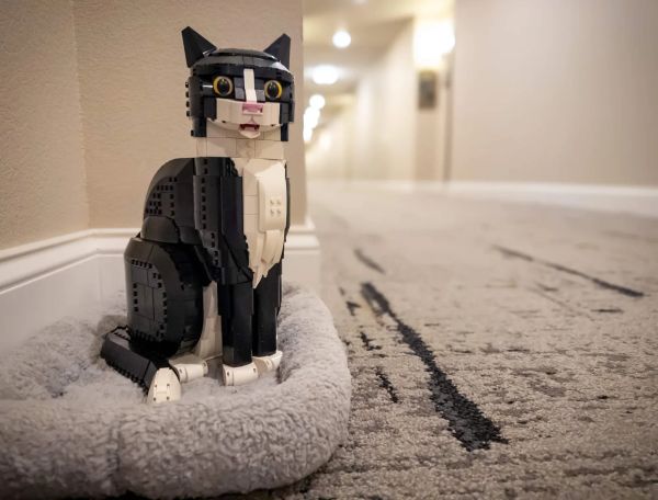 A Protector… A Dark Knight