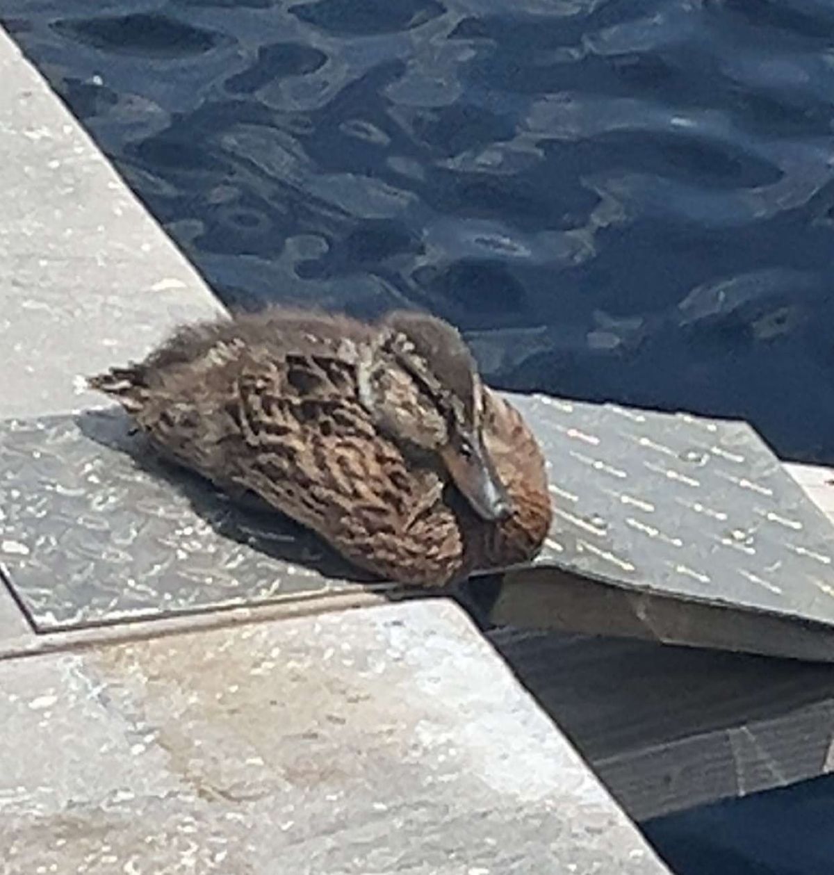 Dude, Where's My Update? #10