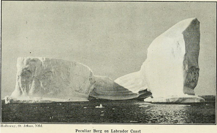 Feed Me A Stray Loop