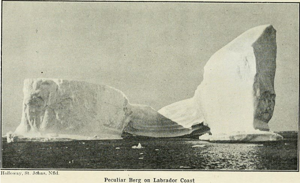 Feed Me A Stray Loop