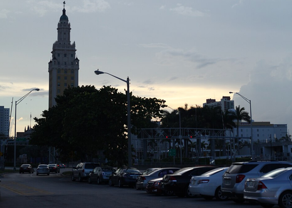 A tower behind some trees, with cars parked in the foreground.