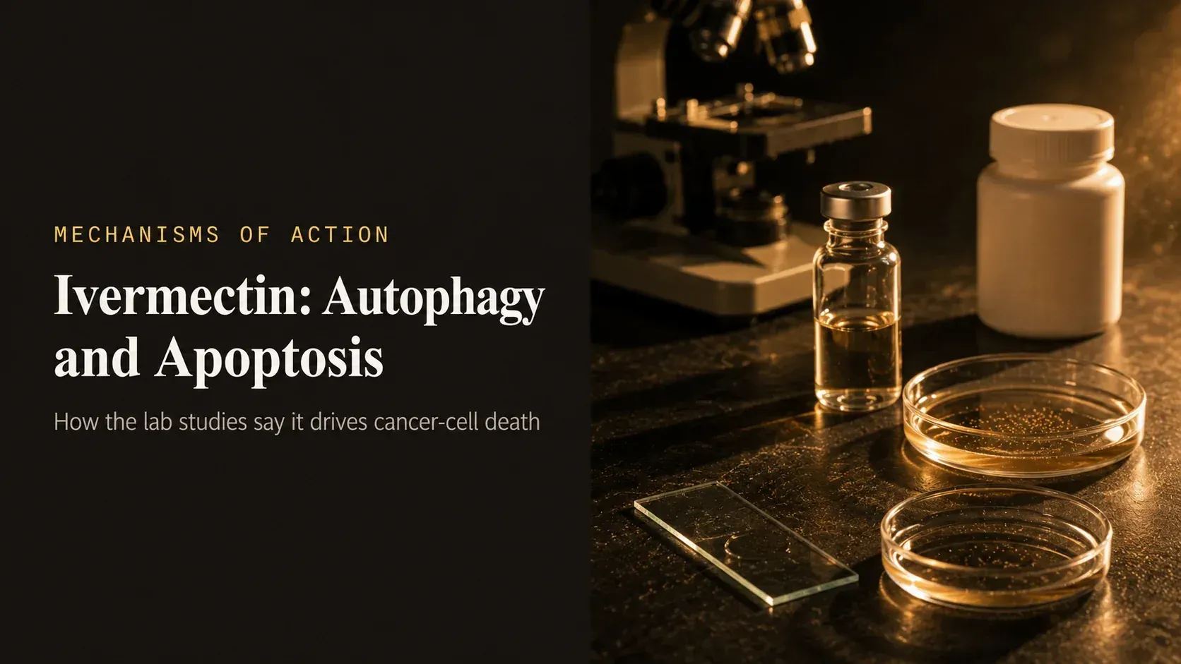 Ivermectin's Anti-Cancer Claims: Mechanisms Under the Microscope