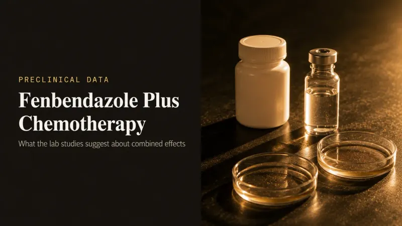 Combining Fenbendazole with Conventional Chemotherapy: Preclinical Insights
