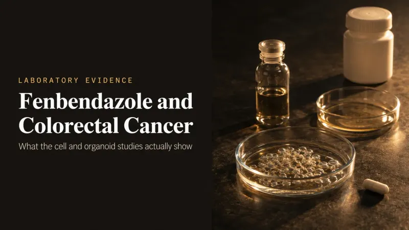 Fenbendazole and Colorectal Cancer: Lab Promise vs. Clinical Reality