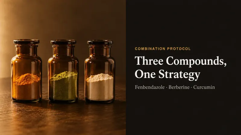 The Triple Protocol (Fenbendazole + Berberine + Curcumin): Does the Combo Actually Work?
