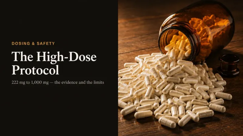 High-Dose Fenbendazole Protocol: Dosing, Safety, and Evidence
