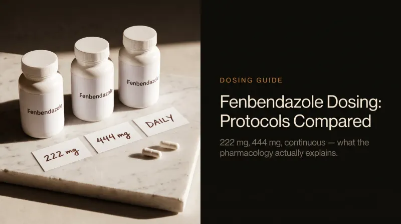 Fenbendazole Dosing Guide: Protocols Compared