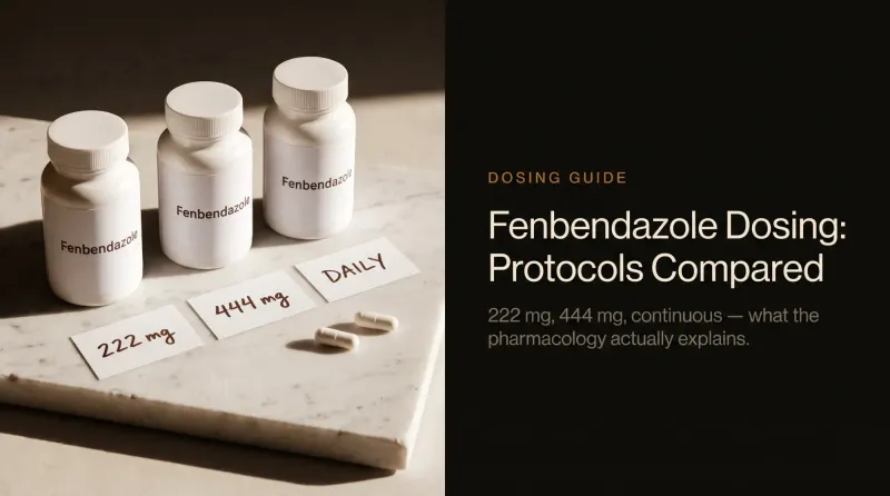 Fenbendazole Dosing Guide: Protocols Compared