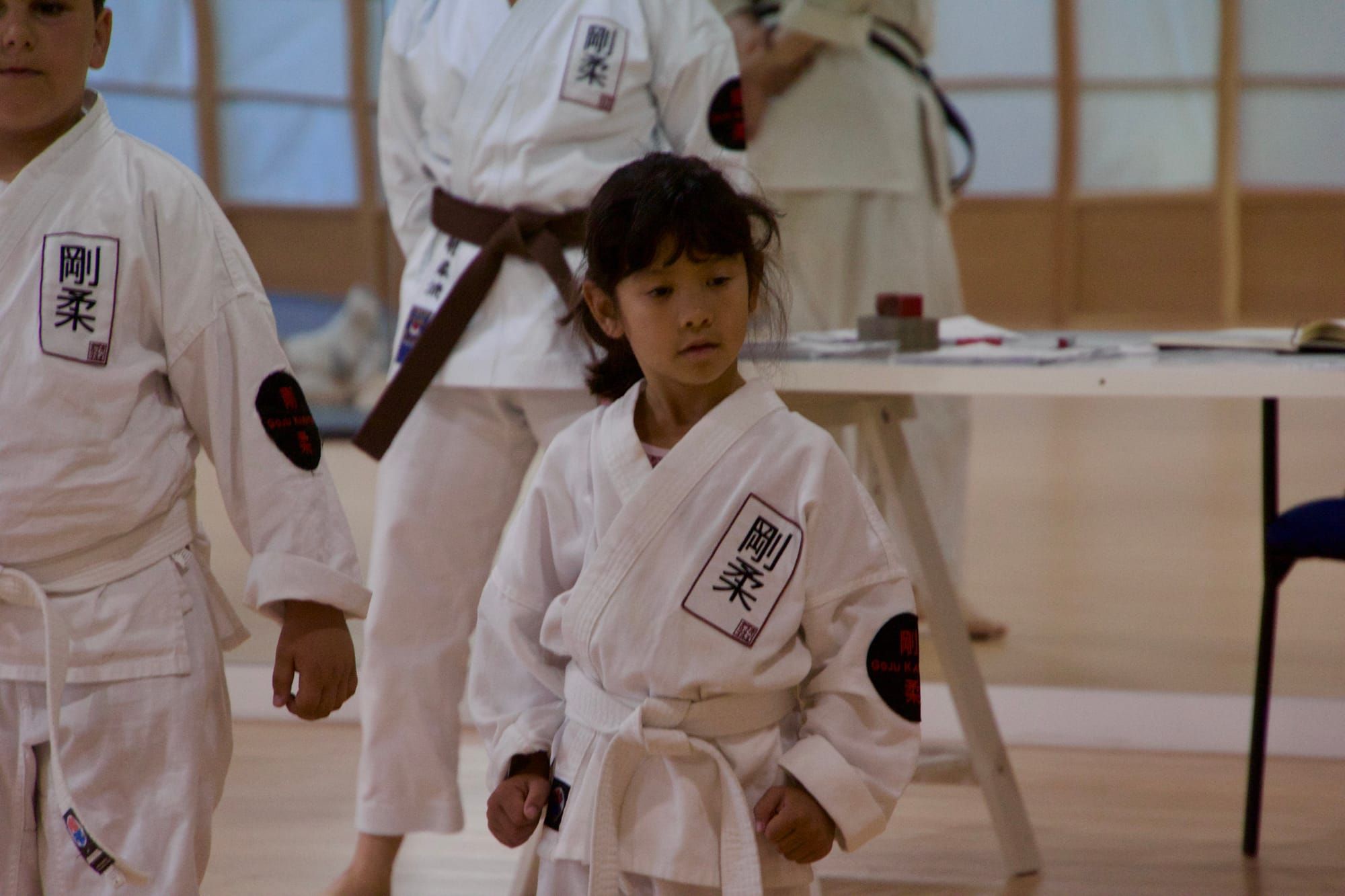 Kids Divisions at the Tournament Post image