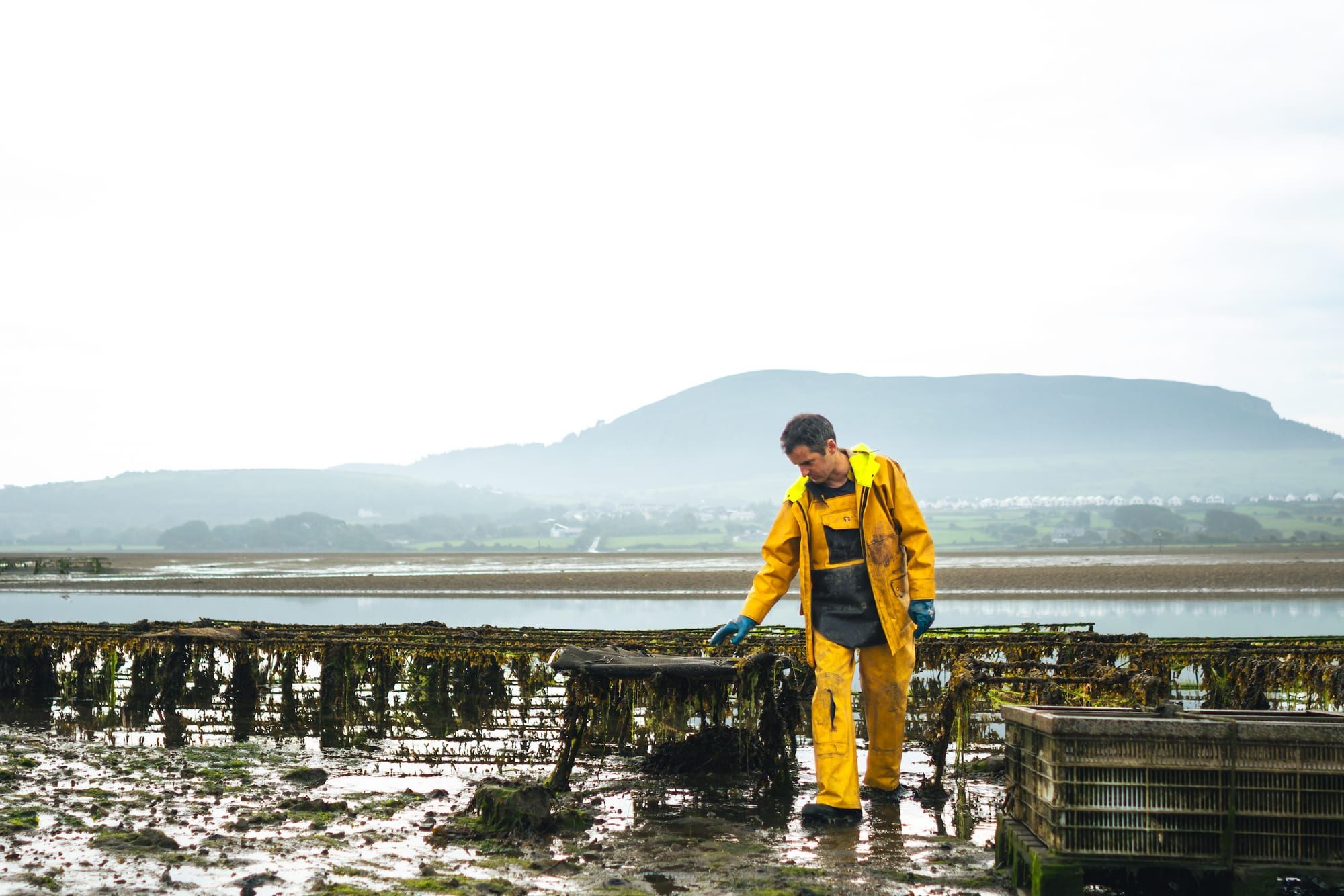 Finding Yeats (and Oysters) in Sligo.