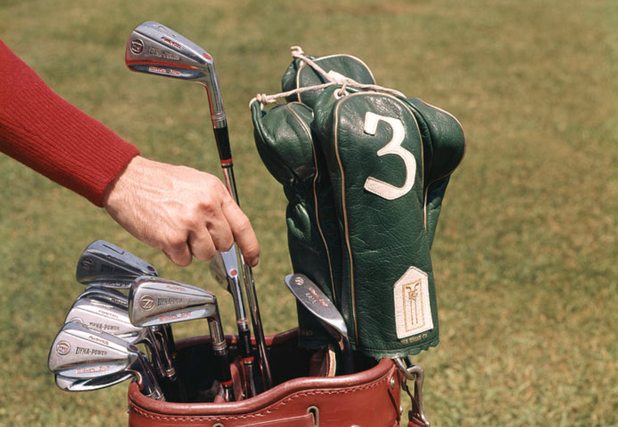 Field Guide: Headcovers