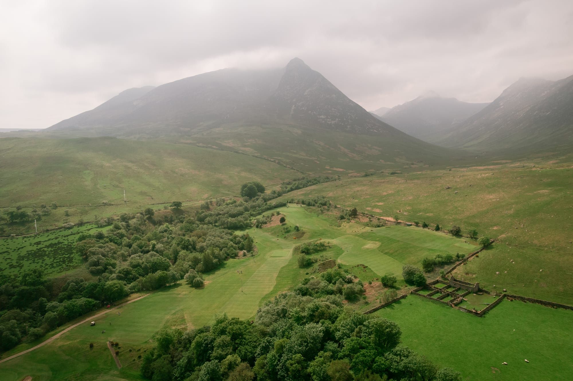 The Little Golf Club That Stole My Heart