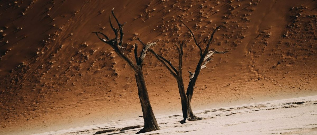 ESB: Staðreyndir handan hræðsluáróðurs