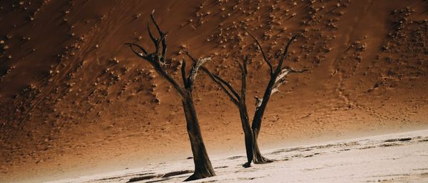 ESB: Staðreyndir handan hræðsluáróðurs