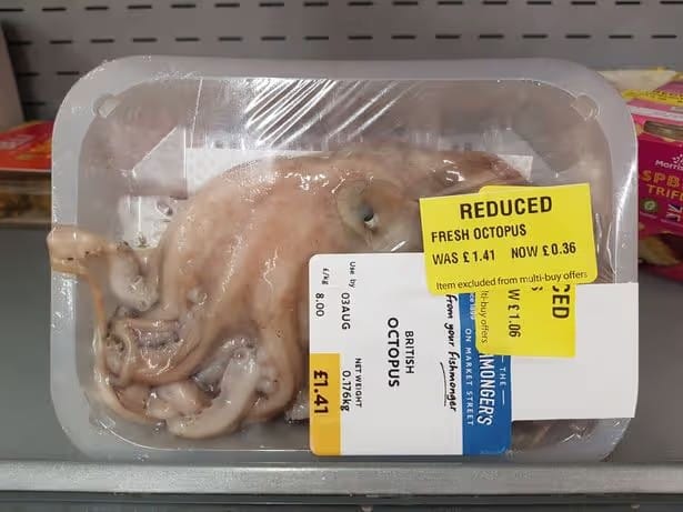 Photograph: a whole octopus sealed under plastic on a supermarket tray, with a price sticker