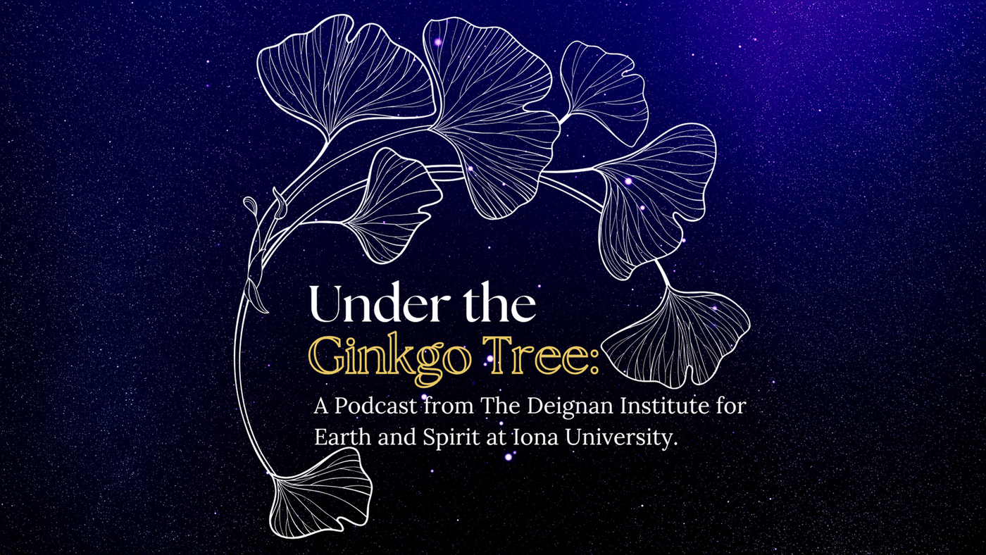 1 | Telling the Story of the Universe, with Sam King