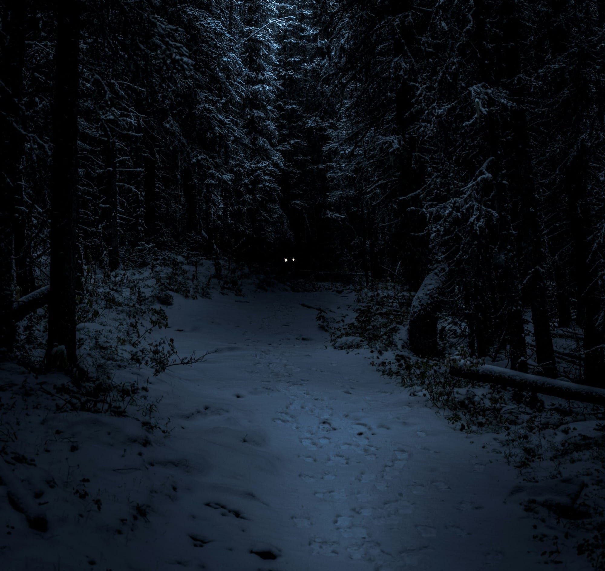 Of Comfort and Disquiet