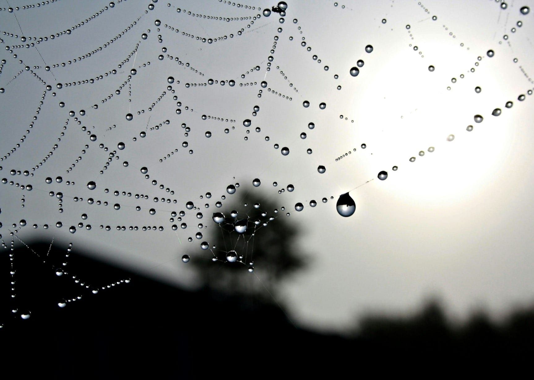 A Slice of EveryThing