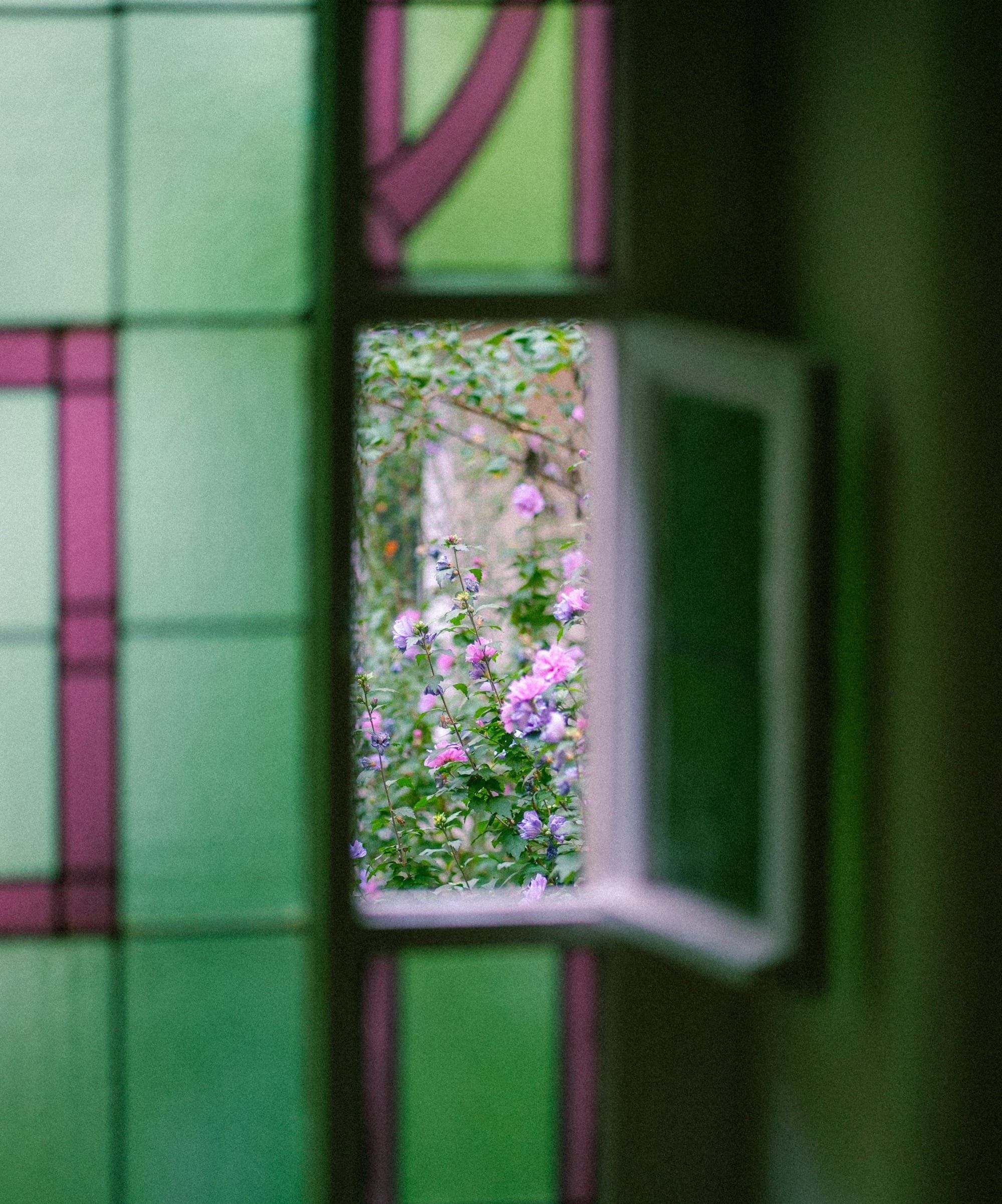 The tinted lens