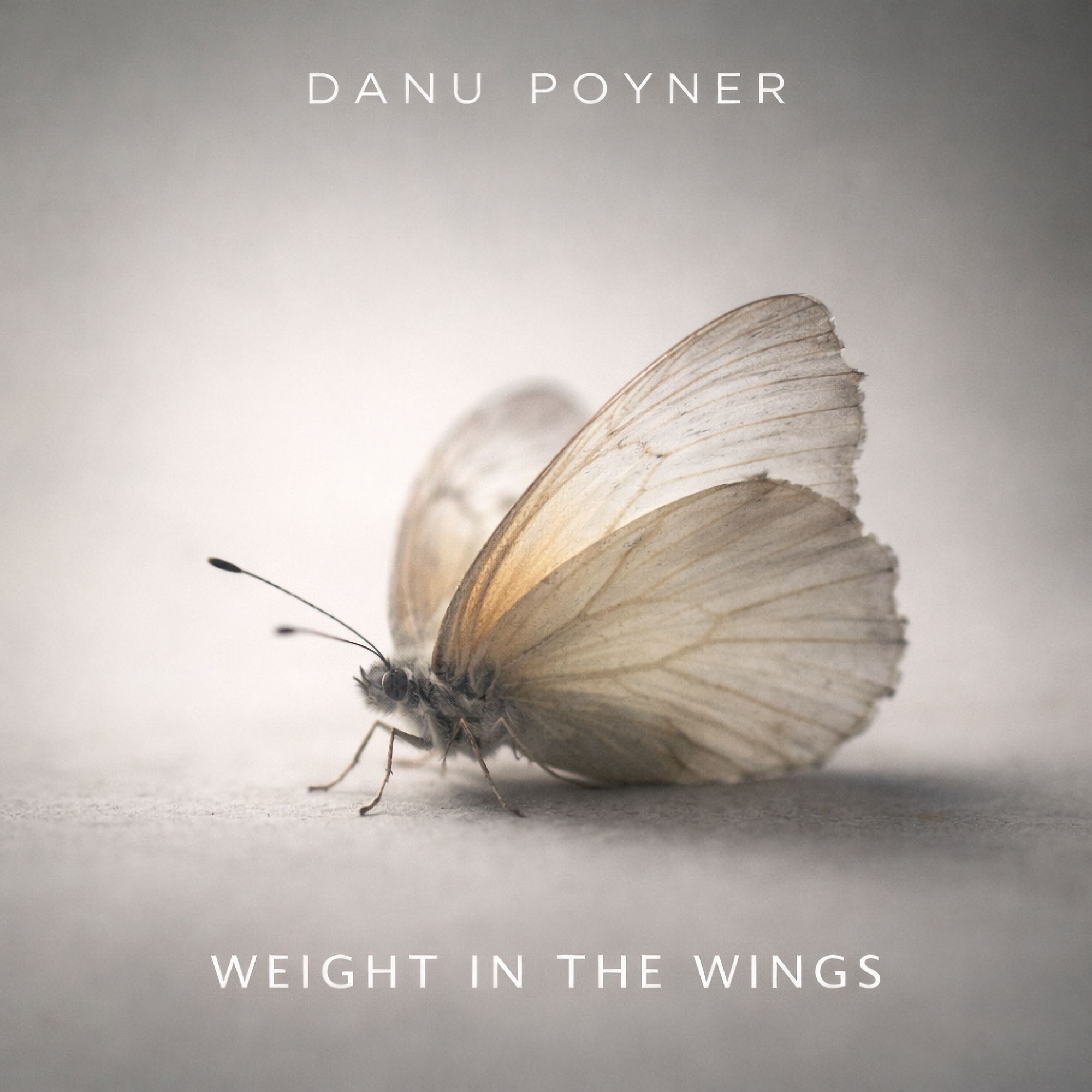 Weight in the Wings