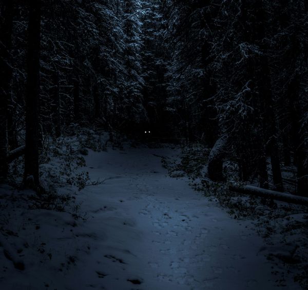 Of Comfort and Disquiet