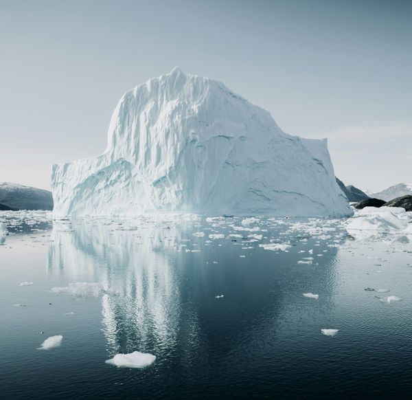 One step forward, twelve back