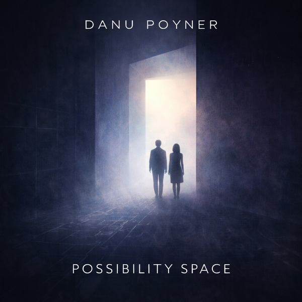 Possibility Space