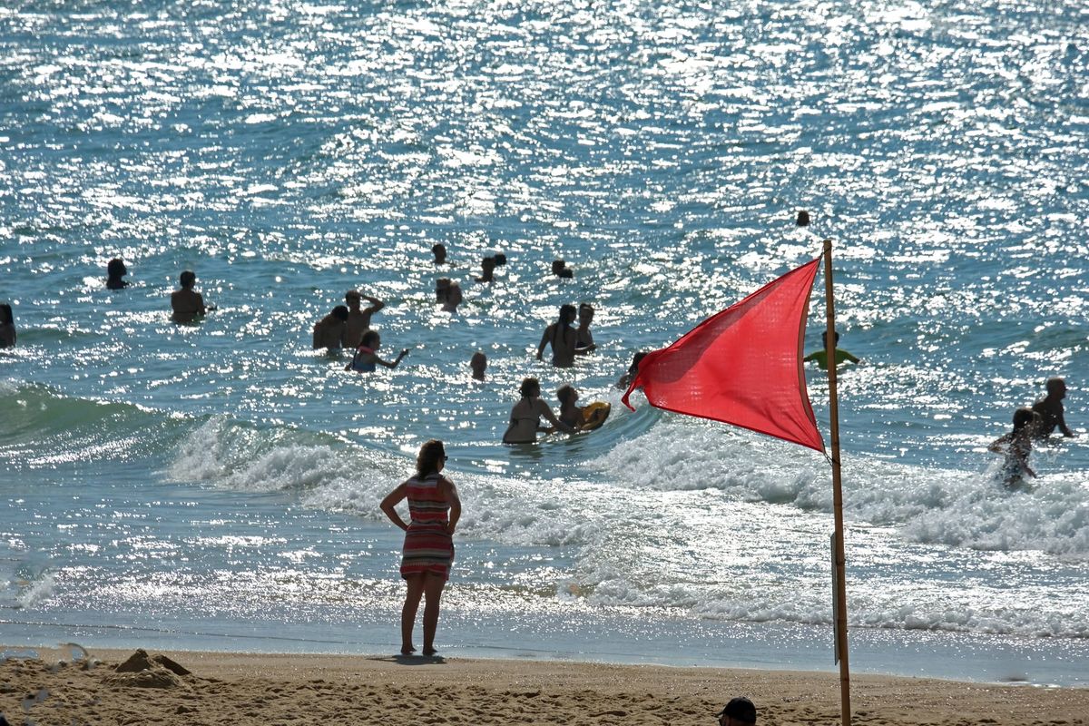 Socialism makes summer more beautiful